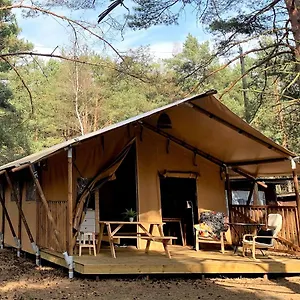 Kemp Camp Bursztynowy, Gdaňsk